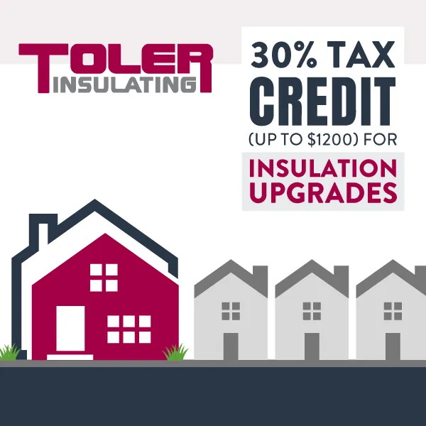 Tax Credit up to $1200 for insulation upgrades.