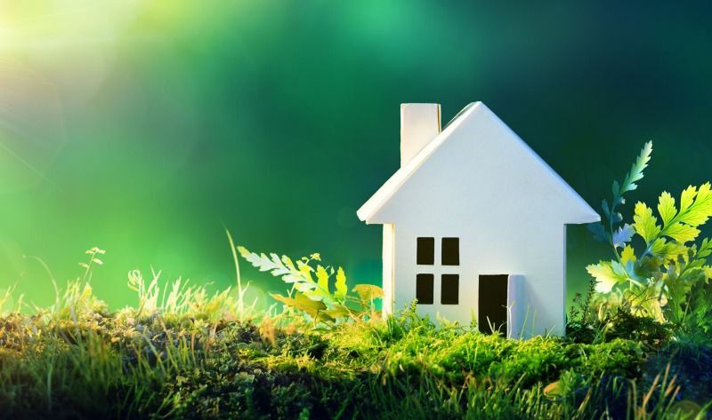 Cardboard model house seated among ferns and moss in front of a blurred green background.