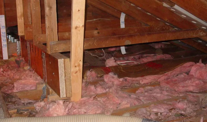 Attic with exposed wooden framing and disorganized pink fiberglass insulation